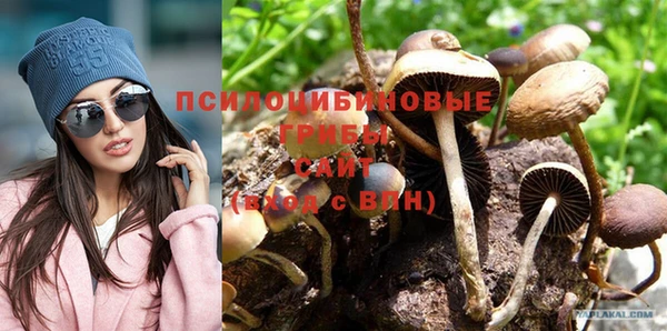 МДПВ Тавда