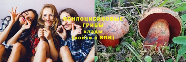 2c-b Каменногорск