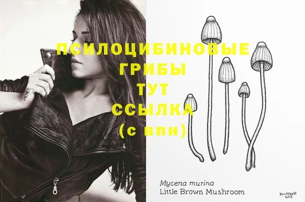 MDMA Premium VHQ Каменск-Шахтинский