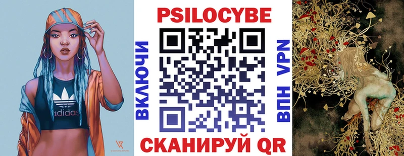 Купить  Оханск  Псилоцибиновые грибы Psilocybe 